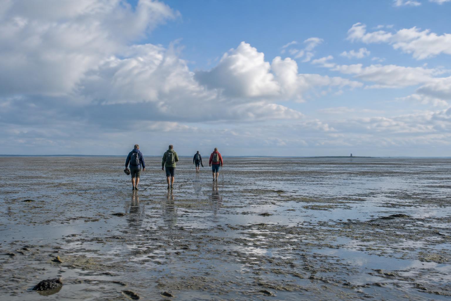 Wadlopers op de drooggevallen zeebodem