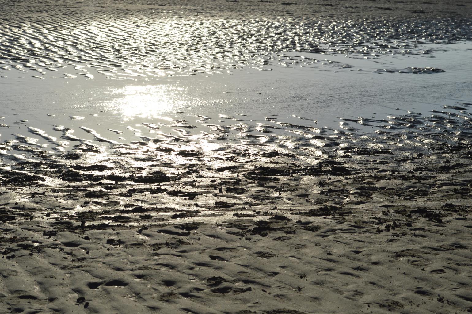 Sonnenlicht auf dem trocken gefallenen Watt bei Schiermonnikoog